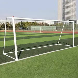 ���� 11���������� Сѧ������ �ɶ���
