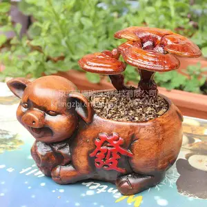 ��֥�辰���� ������֥�辰�ۼ� С������֥ ��̯��֥ ������֥ ��֥��ֳ ������֥