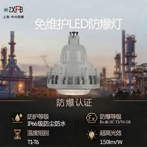100W 节能防爆高顶灯 无频闪 车间顶棚照明 高防腐