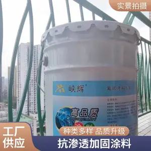 水处理设施防腐涂层 峡辉环氧树脂高分子涂料 附着力强