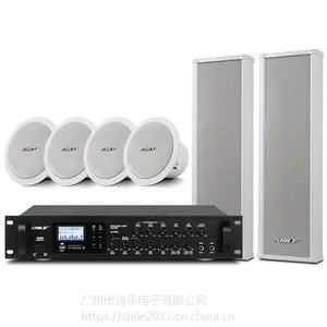广播系统 狮乐定阻式音柱BX207*4/AV108蓝牙功放套装 户外音响系统