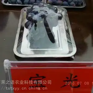 ��������ء������������硢��������ʯ�������ֻ�