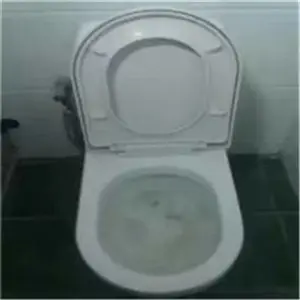 惠州通马桶