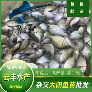 �����泡�޷����� ��ˮ̫������ �������۸�