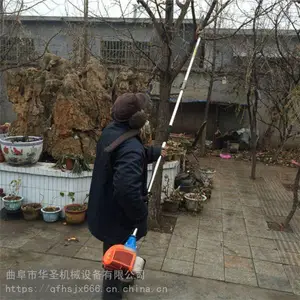 ��ũ��֦��Ҷ���� ��ľ�޸�֦�����;� ��֦��ͼƬ