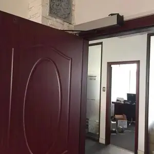 ����С���Ž��Զ������綯������ ����