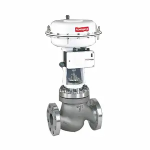 ����FLOWSERVEִ����