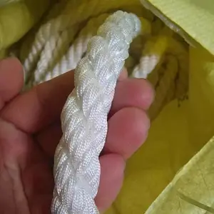 ��Ӧ����ϩ����@��ȼ��׹����@������ȫ����