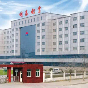 河南明泰铝业股份有限公司