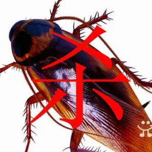 ��Ӧ��������רҵ����ȩΫ������ȩΫ�����ڿ������