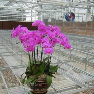 �����紲�������ƶ��紲���ִ�ũҵ�е�Ӧ��