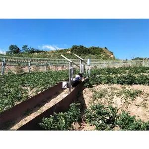 ���ֵ��� ������ɳ�Զ����ϵͳ