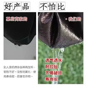 编织扁丝防草布 大棚 温室 园林 全国农业供应商