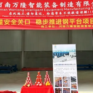 设计灵活 焊接工艺 钢平台货架 使用寿命长 源头厂家