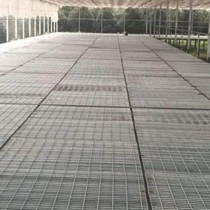 ������� ��������դ ƽ̨��դ�� ����־��ǰ� ���ܴ���