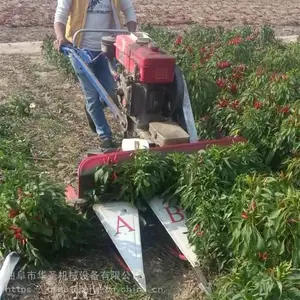 ���������ո�� С��Ͷ��ͨ���͸�ɹ�� ����ɣ���ո��