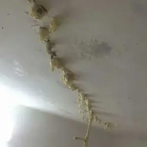 东莞防水补漏工程 寮步防水补漏公司
