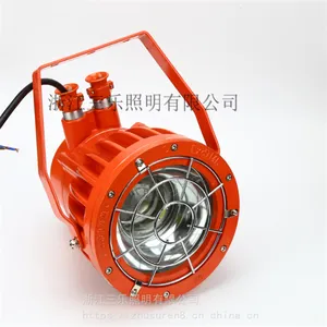 ���ʿ��ø�����LEDͶ��� DGS100/127L(A) ������