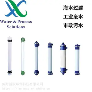 新芯膜超滤膜 PVDF中空纤维超滤 柱式超滤