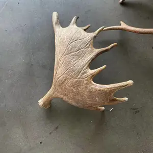 ����˹¹�ǽ��ڱ��ش�����˾,��ҵ���¹��������Ϻ�����