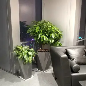 办公室绿化植物租赁_丽芳园林一站式绿化服务公司
