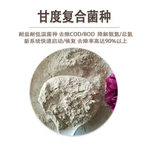 甘度 污水处理菌种厂家 微生物菌种 厌氧池高效降氨氮用量少