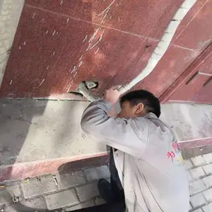 鹤壁灭鼠公司专业灭蟑螂除四害消毒宝康虫控