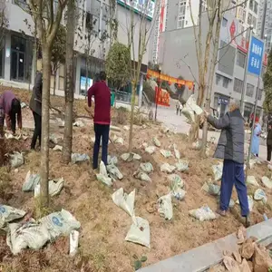 ����԰�ֹ���Ӫ���� ��ֳ�� �ݶ������� ����***��