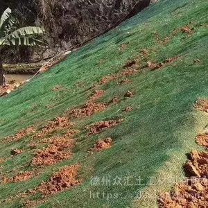 定制生产 三维植草网网垫 山体边坡绿化网垫 固土三维植被网EM3