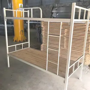 ��������ѧ�����ṫԢ��|����������ʲô��Ŀ����