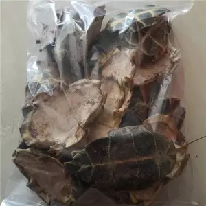 生龟板 中药材生龟甲品质可靠