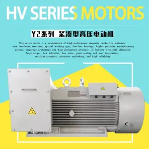 ������6000V�綯��Y2-HV450-6-250KW�����ѹ��������ѹ����
