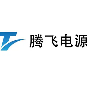山东腾飞电源有限公司