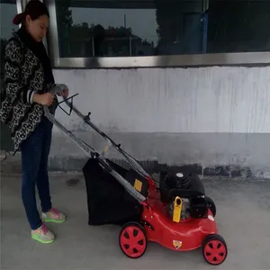 С������ݻ� �ϰ��������ĸ�ݻ�����