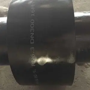 DN300 PN16���ƾ�Ե��ͷ ��Ե��ͷ��������