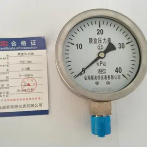 YE-100B不锈钢膜盒压力表