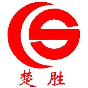 楚胜汽车集团有限公司