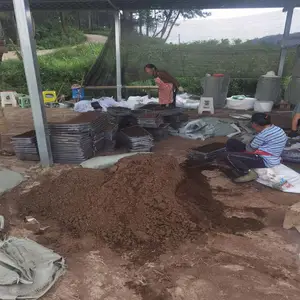 重庆营养土 有机肥 泥炭土 扦插育苗基质 腐殖土 保水透气