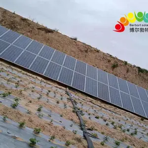 博尔勃特 农田灌溉光伏离网发电 太阳能水泵供电系统5kw