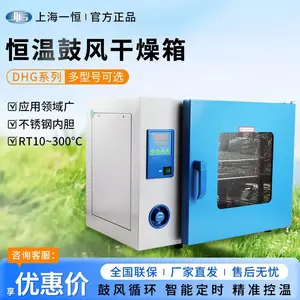上海一恒DHG系列鼓风干燥箱 实验室工业烘箱 电热恒温鼓风干燥箱