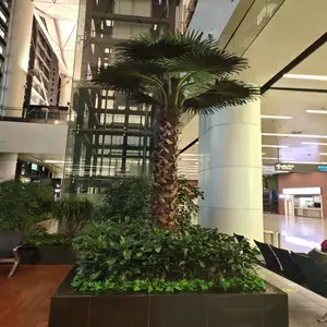 �����ٻ�_���滨����_ӣ����