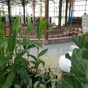 武汉叶动力 鱼菜共生 智慧农业设施 项目工程设计 整体方案规划建设 技术指导
