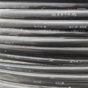 �Ĵ����л������߹�˾ ��������ǧ���������� RVVPS��Դ��