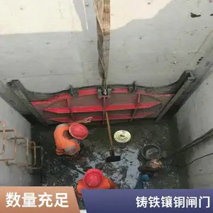���� ��������բ����ʧģ˫��ֹˮ������ͭ��բ��PZ--8008800