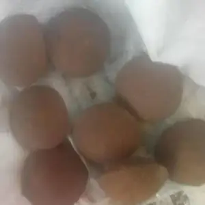 ��������������ô��������˵ѹ�����Ż�¯����