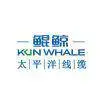 河南太平洋线缆有限公司