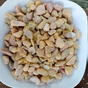 ��ӦȾɫ��ʯ ��Ȼ��ɫʯ�� ����ɳ̲��ɫʯ�� ɳ�� ��ʯ��
