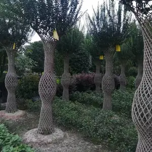 �Ĵ�ֲ�������������� ����Բ���۸� ��ޱ�����Ļ�������
