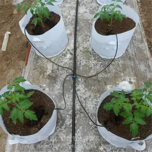 江苏花卉果树灌溉 滴箭 一出二 一出四 滴箭50CM毛管滴箭套装