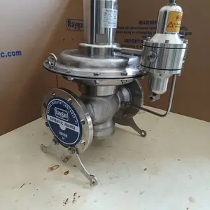 氮气低压减压阀 调压阀 控制阀 调节阀RAYGAS 不锈钢材质